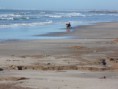 /album/fotogaleria/a555abcdef-015-jpg/